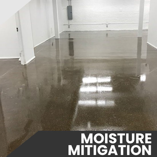 moisture mitigation 2
